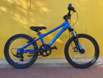 Használt 20&quot;-as Wyldee junior MTB, kék Kép