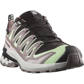 XA PRO 3D V9 GTX női terepfutó cipő, black/platina green/gray violet Kép