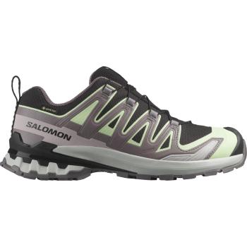XA PRO 3D V9 GTX női terepfutó cipő, black/platina green/gray violet 3.Kép